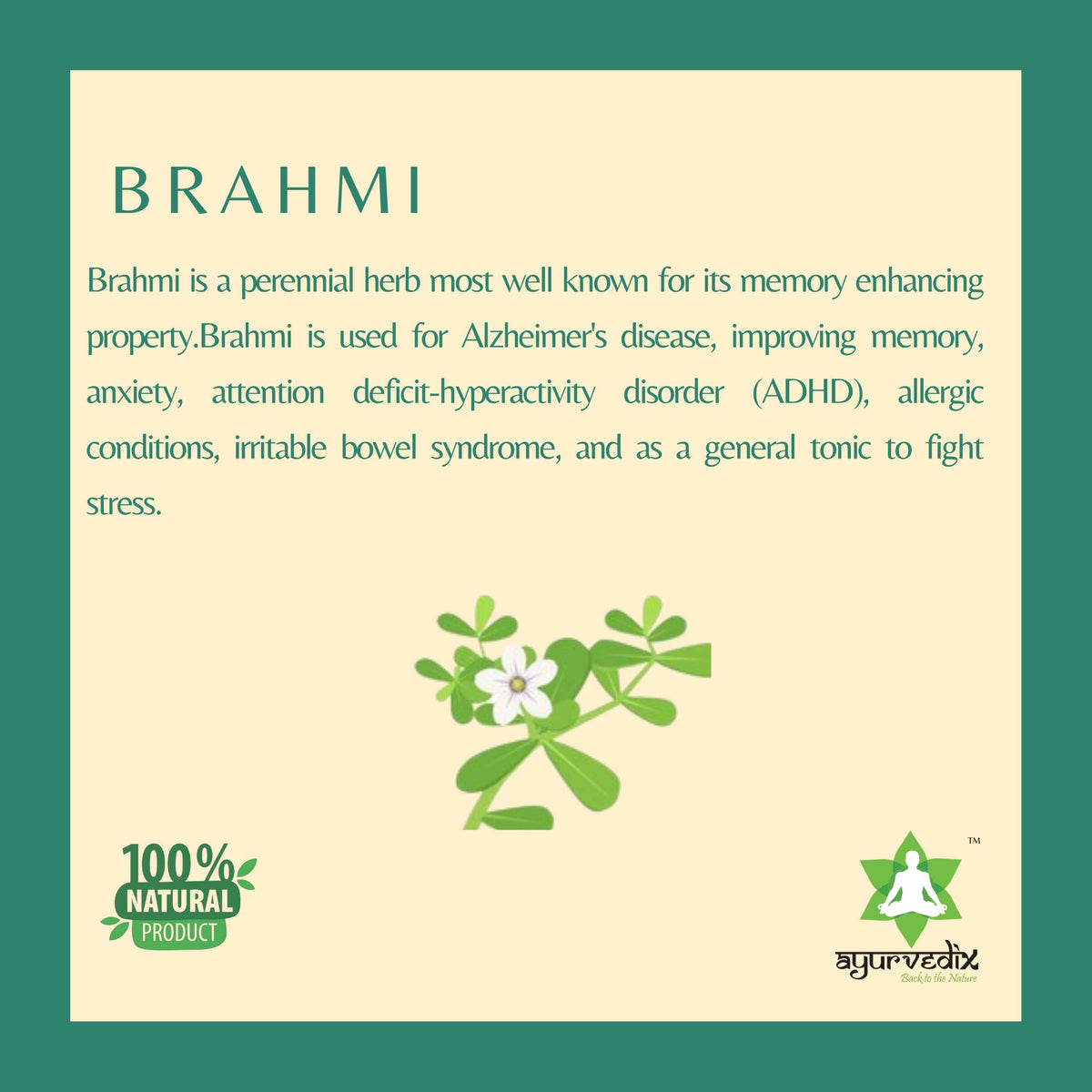 ayurvedix Brahmi Ark Herbal Supplement Syrup - 6.76 Fl Oz - image 3