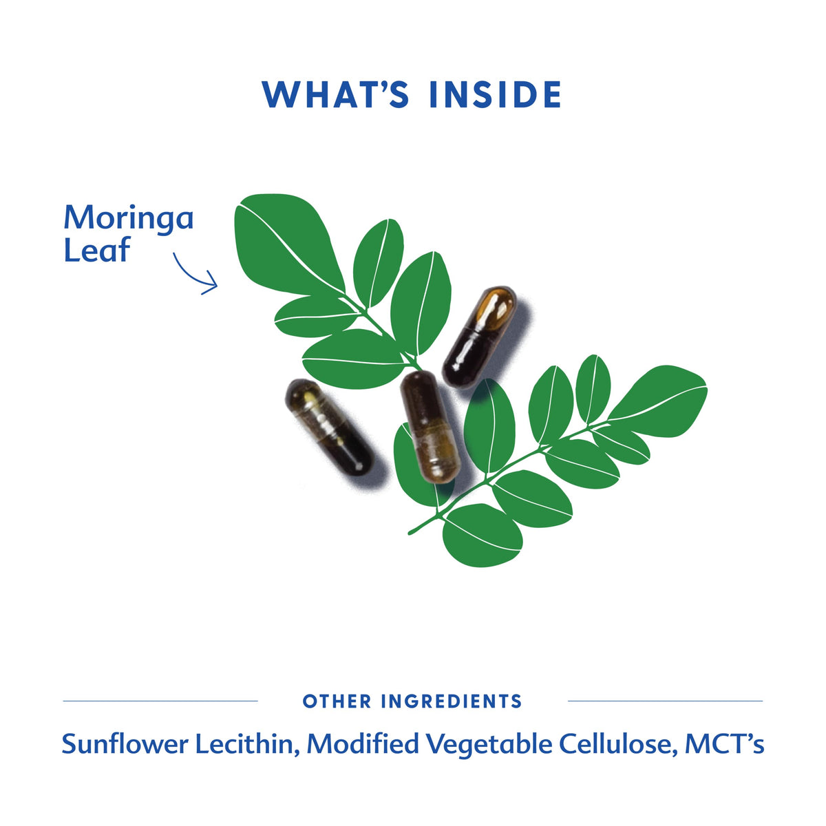 Motherlove Moringa Lactation Support - 120 Liquid Capsules - image 3