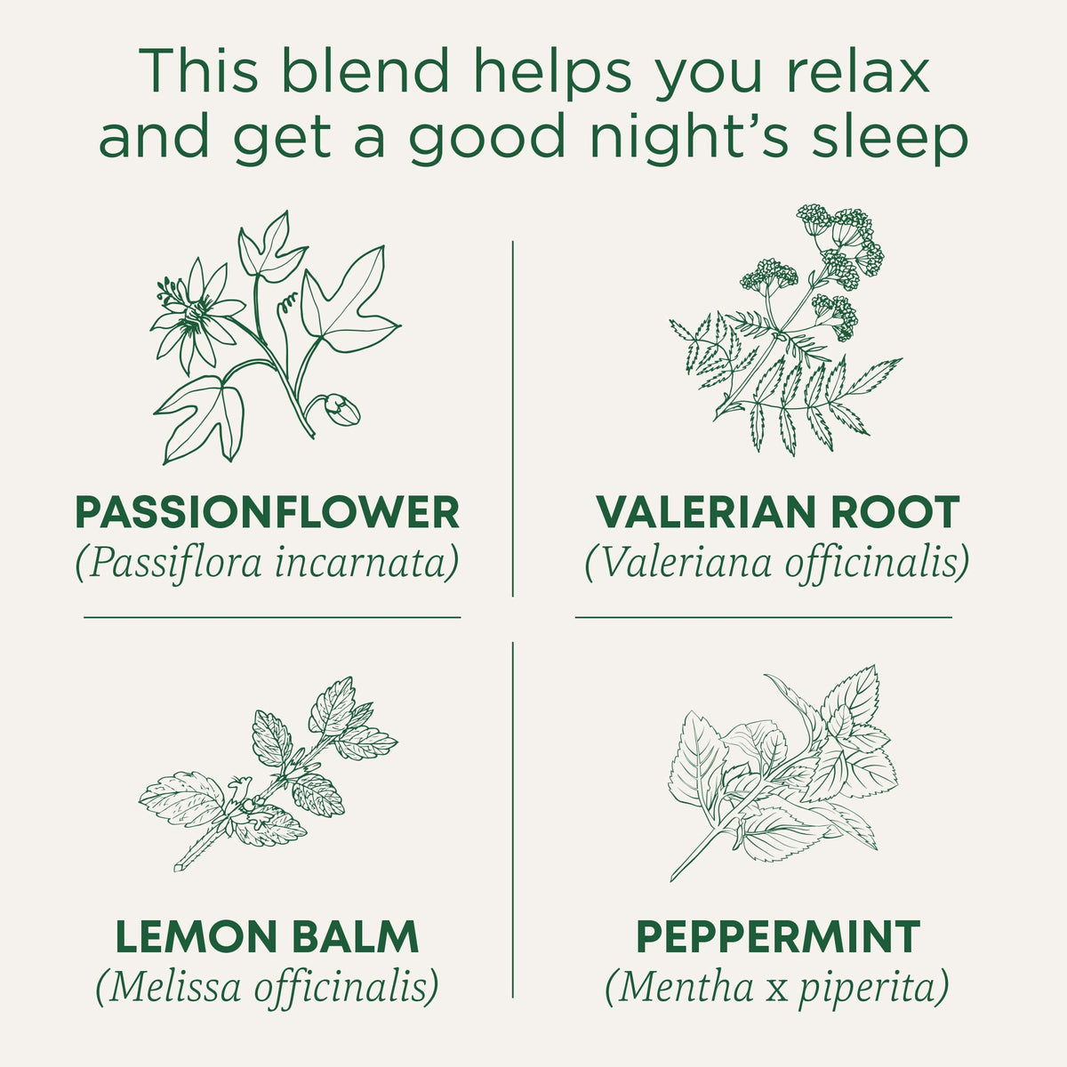 Traditional Medicinals Organic Nighty Night Extra Valerian Tea - 96 Bags - image 3