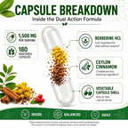NEOGLI Berberine Supplement 1500mg with Ceylon Cinnamon - 180 Capsules - image 2