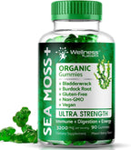 WELLNESS LABSRX Irish Sea Moss Gummies 3200mg - 90 Count