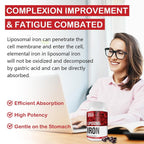 Sapotax Liposomal Fe Iron Supplement for Women - image 6