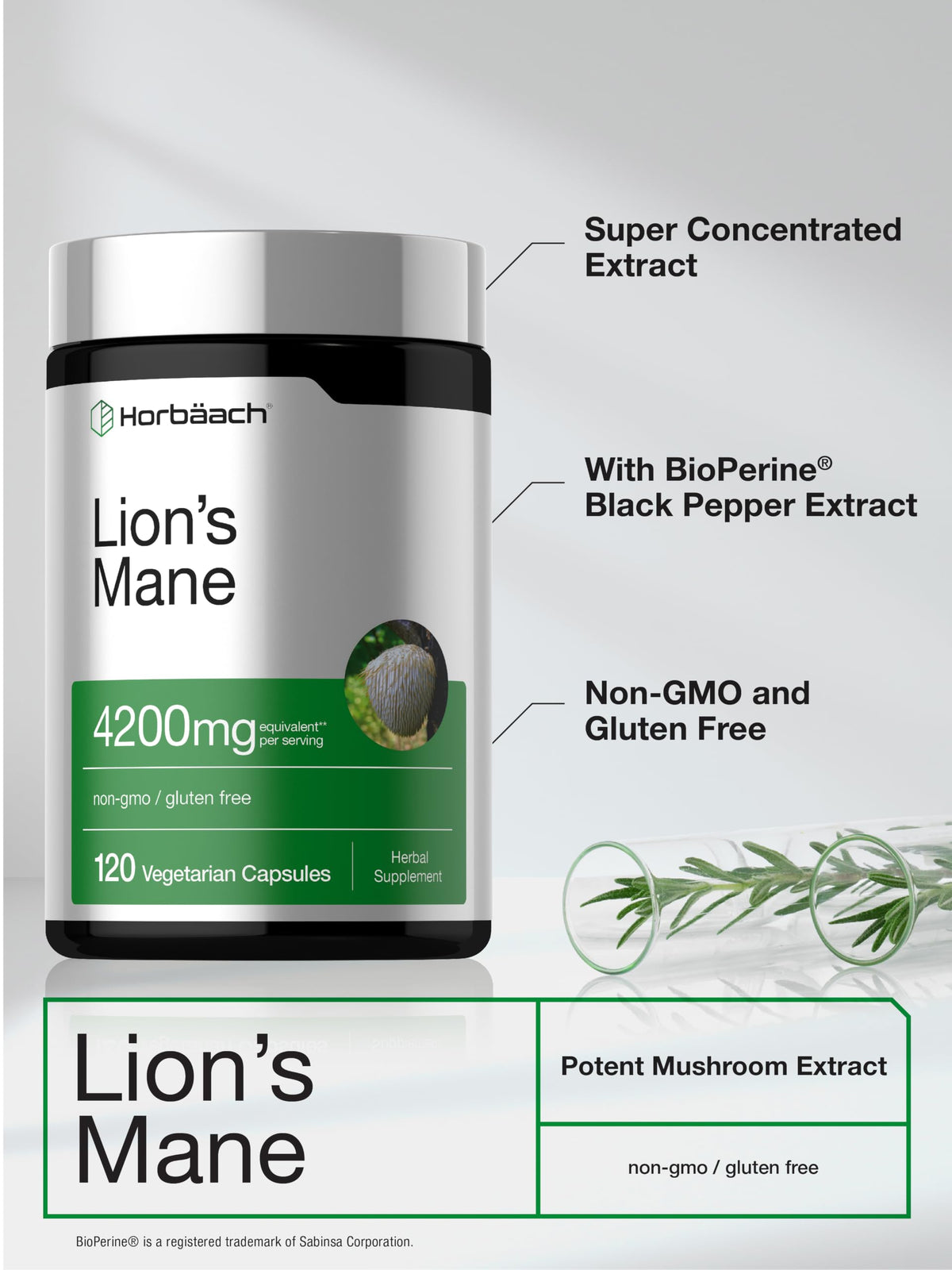 Horbäach Lion's Mane Mushroom Extract - 120 Capsules - image 4