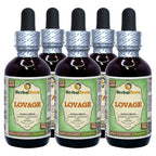 Herbal Terra LLC Lovage (Levisticum Officinale) Tincture