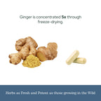 Eclectic Institute Organic Ginger Capsules - 90 Count - image 6