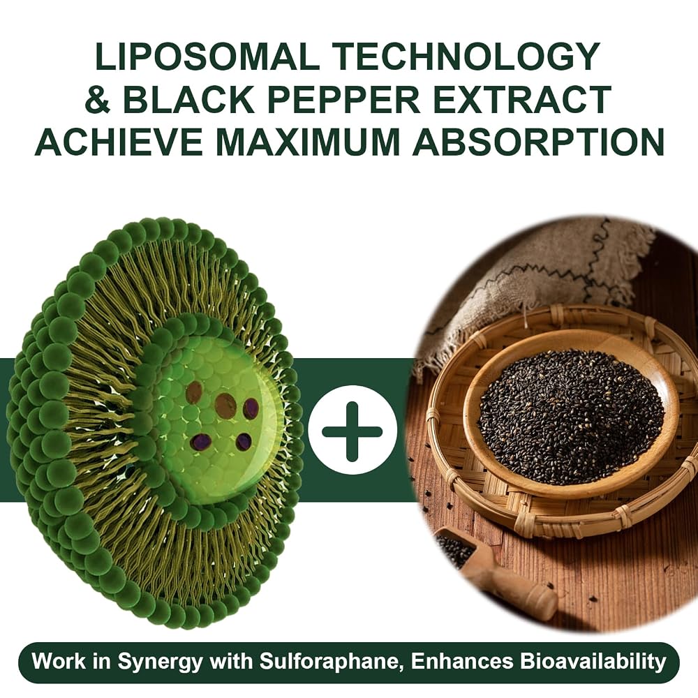 VITACRLLYNMN Liposomal Sulforaphane 900mg - 60 Capsules - image 3
