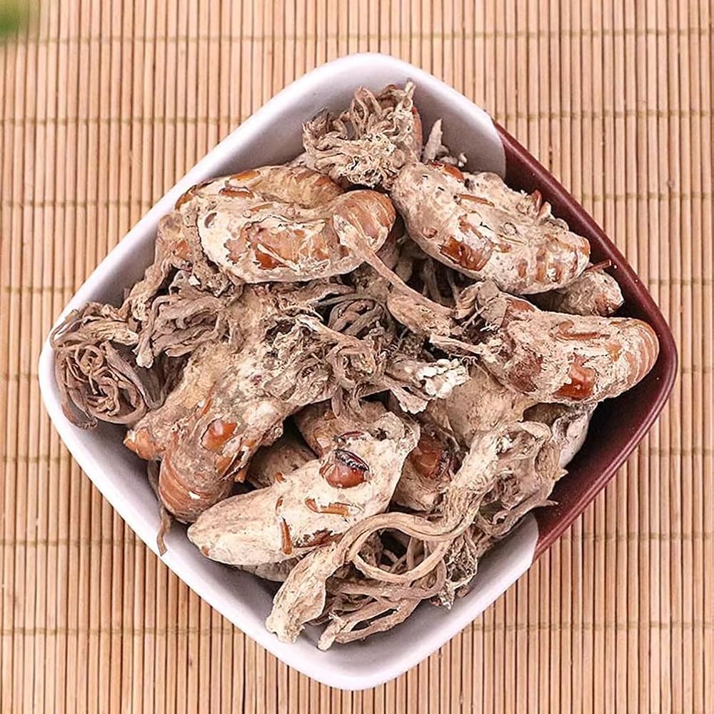 REUEHDS Cordyceps Cicadae Jinchanhua Herbal Tea - 250g - image 2