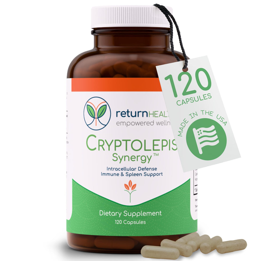 Return Healthy Cryptolepis Synergy Immune Support - 120 Capsules