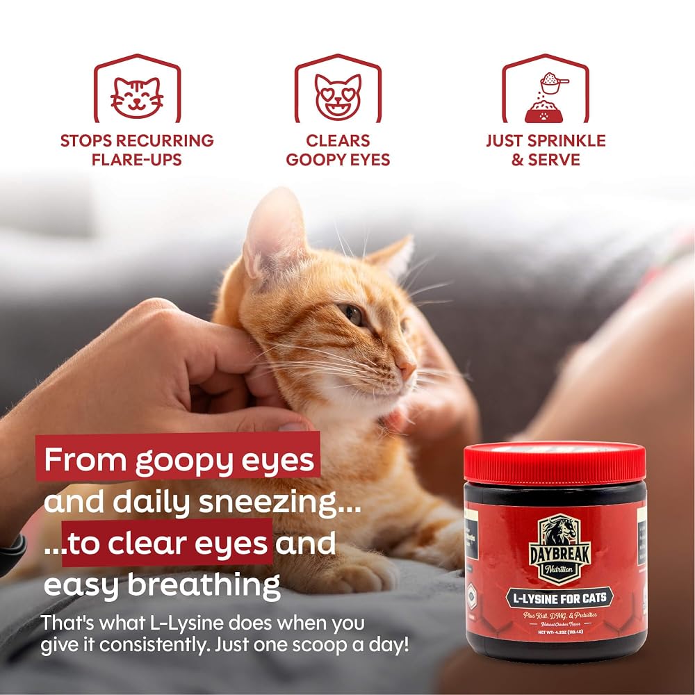 Daybreak Nutrition L-Lysine for Cats and Kittens - 900 mg L Lysine