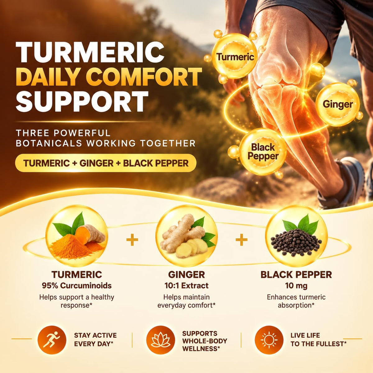 EnvyCure Turmeric Curcumin 2000mg with Milk Thistle - 120 Softgels - image 5