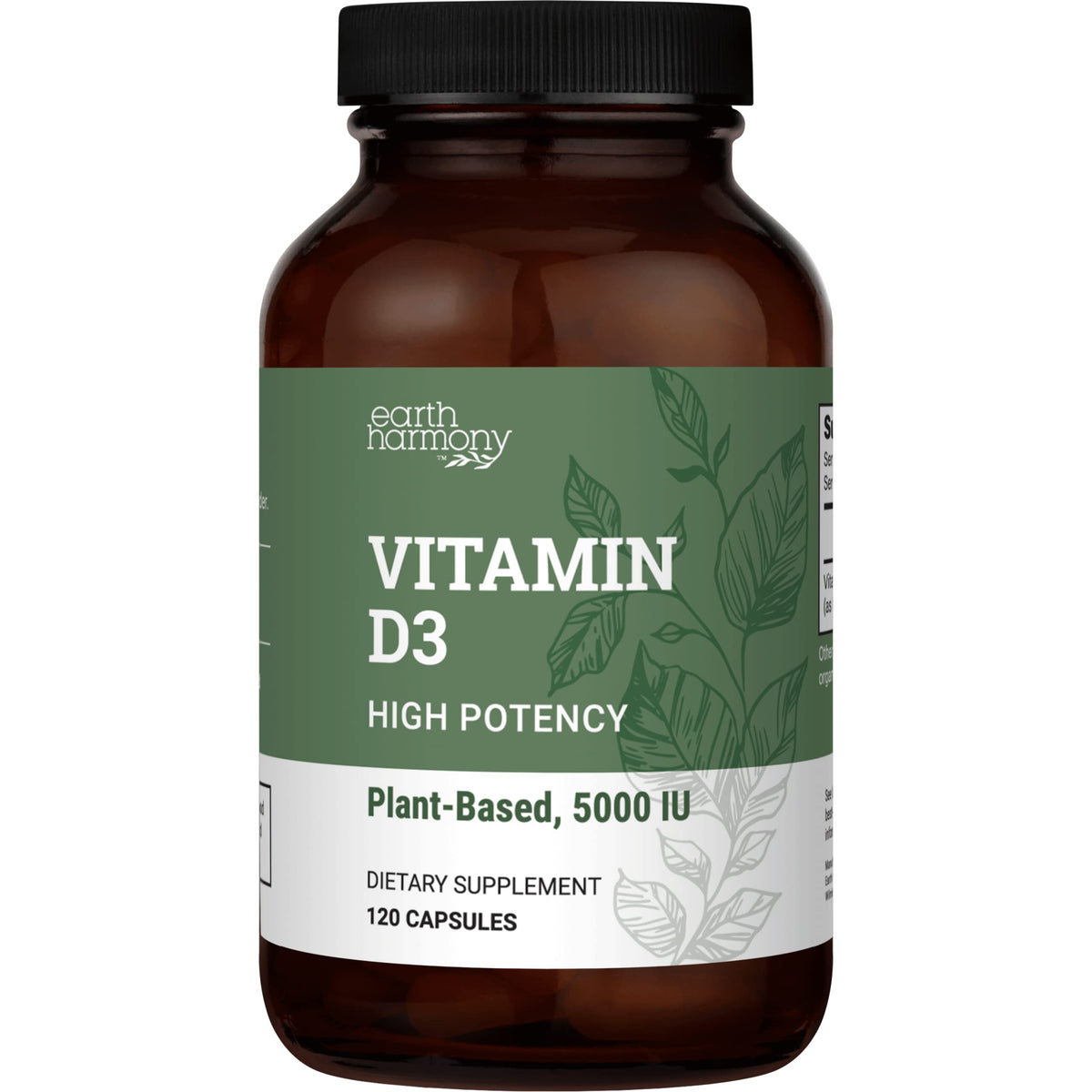Earth Harmony Naturals Vitamin D3 5000 IU Vegan - 120 Capsules