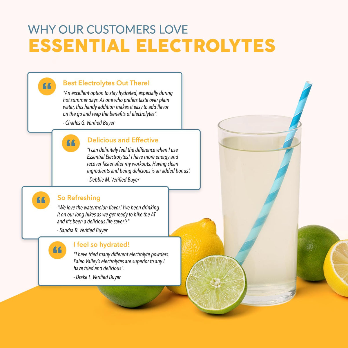 Paleovalley Essential Electrolytes Powder - Full Spectrum Lemon Lime
