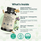 VINATURA Organic Sea Moss Immune Booster - 60 Capsules - image 4