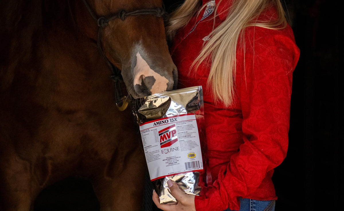 MVP Amino 15X Muscle Support Powder for Horses - 1.5lb - image 5