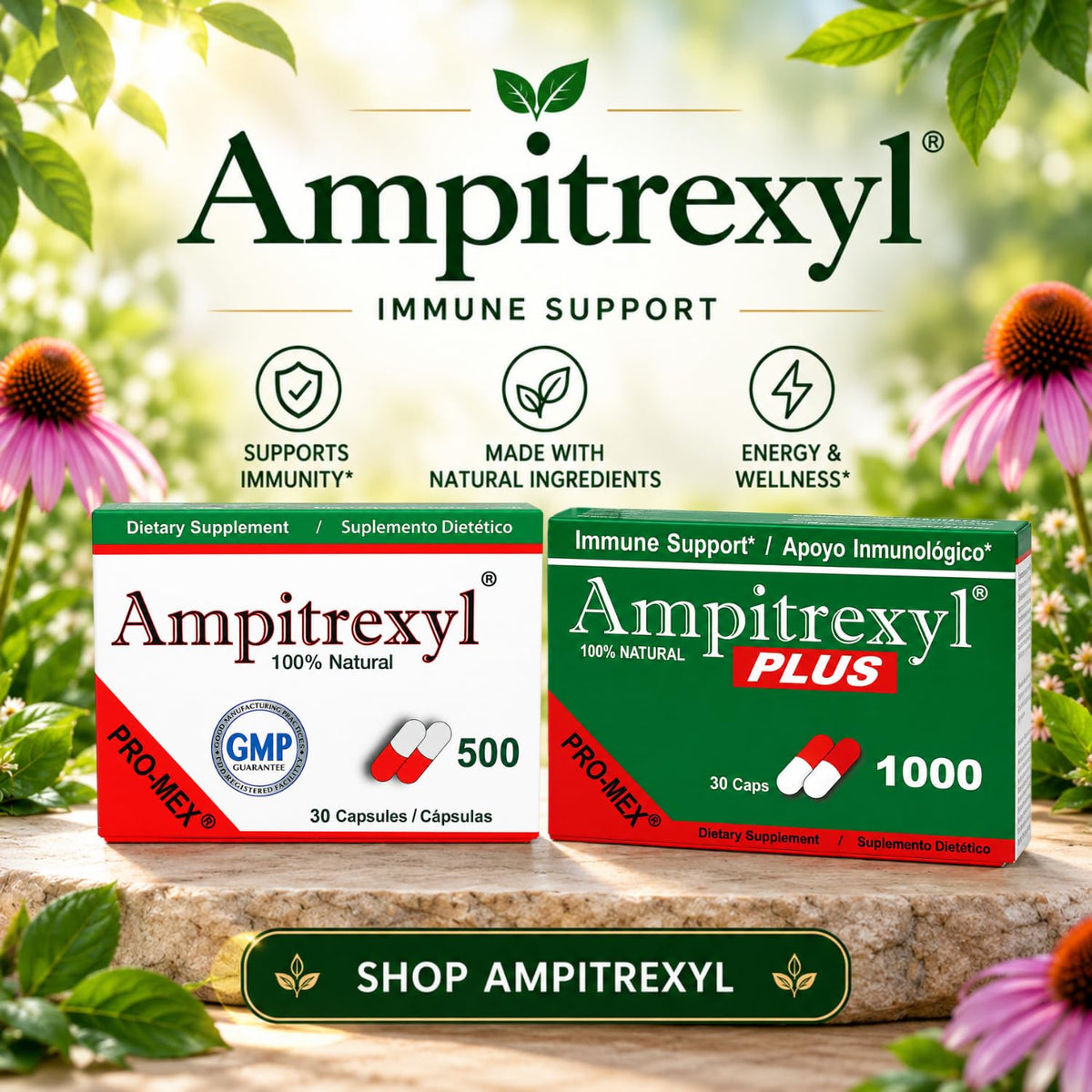 Ampitrexyl Immune System Support - 30 Capsules - image 9