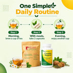 Rachelstea Digestive Relief Tea and Candida Support Bundle - image 3