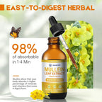 Javeriah Mullein Drops for Lungs Cleanse with Cordyceps