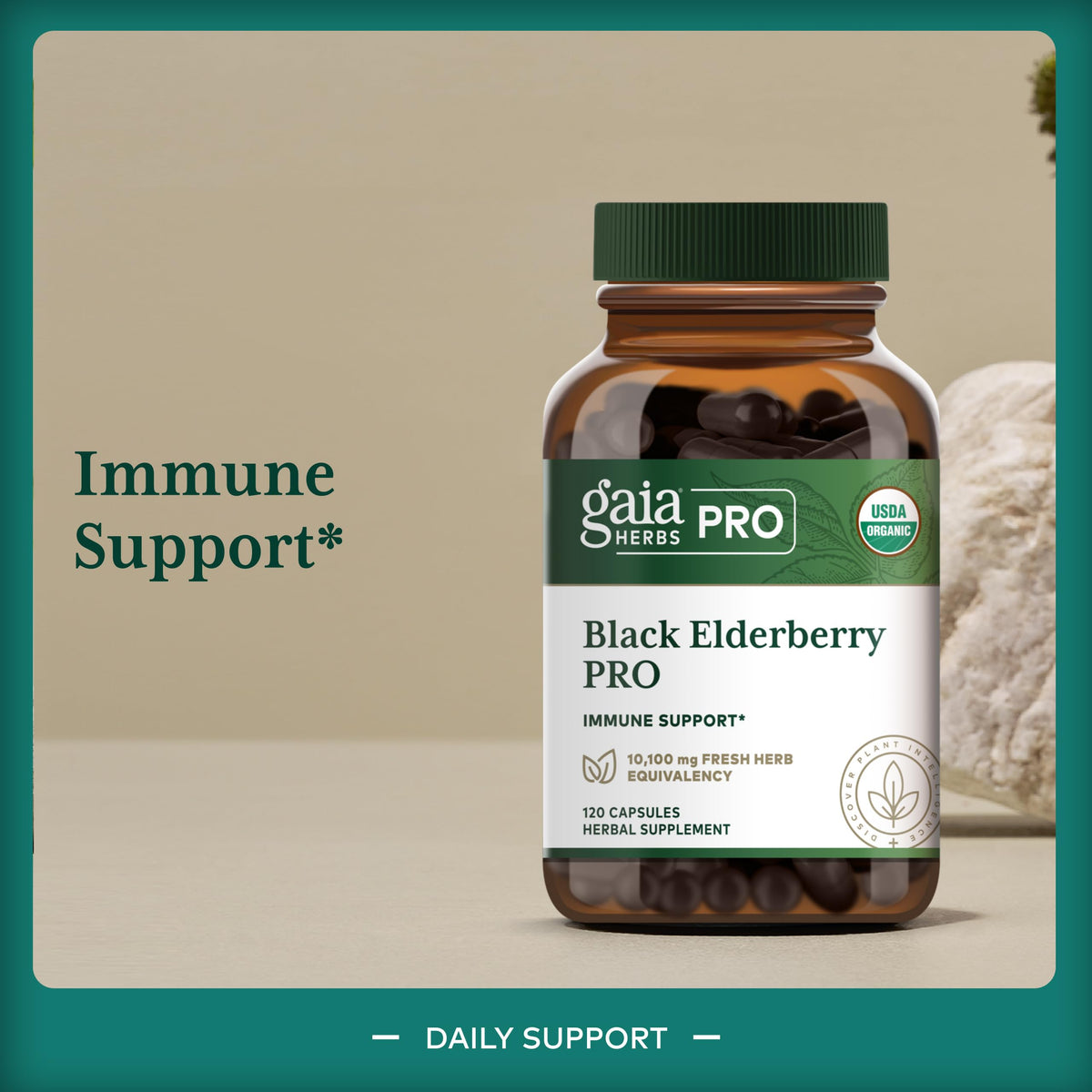 Gaia Herbs PRO Black Elderberry Immune Support - 120 Capsules - image 3