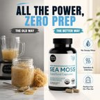 Atlantic Naturals Organic Irish Sea Moss Capsules - 120 Vegetarian Capsules - image 4
