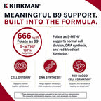 Kirkman Advanced Adult Multivitamin & Mineral with 5-MTHF - 180 Capsules - image 4