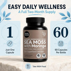 Atlantic Naturals Sea Moss Capsules with Ashwagandha & Ginger - 60 Softgels - image 5