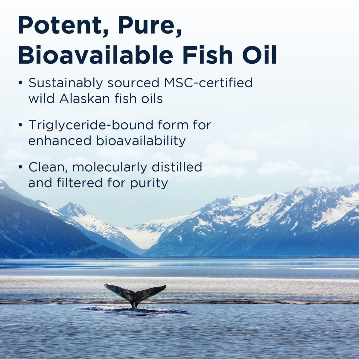 Designs for Health OmegAvail Hi-Po Liquid Omega-3 Fish Oil - 8 oz - image 3