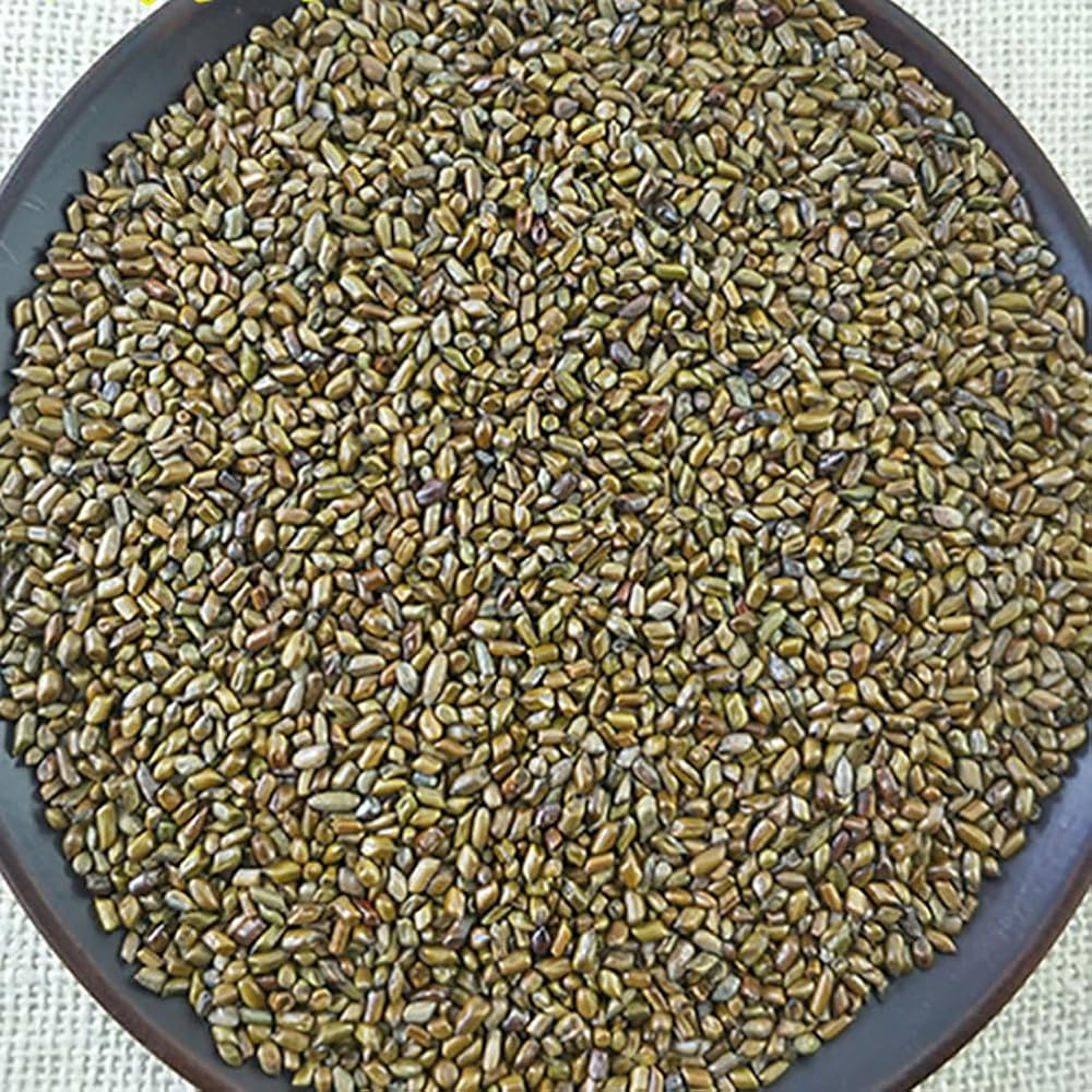 REUEHDS Semen Cassiae Jue Ming Zi