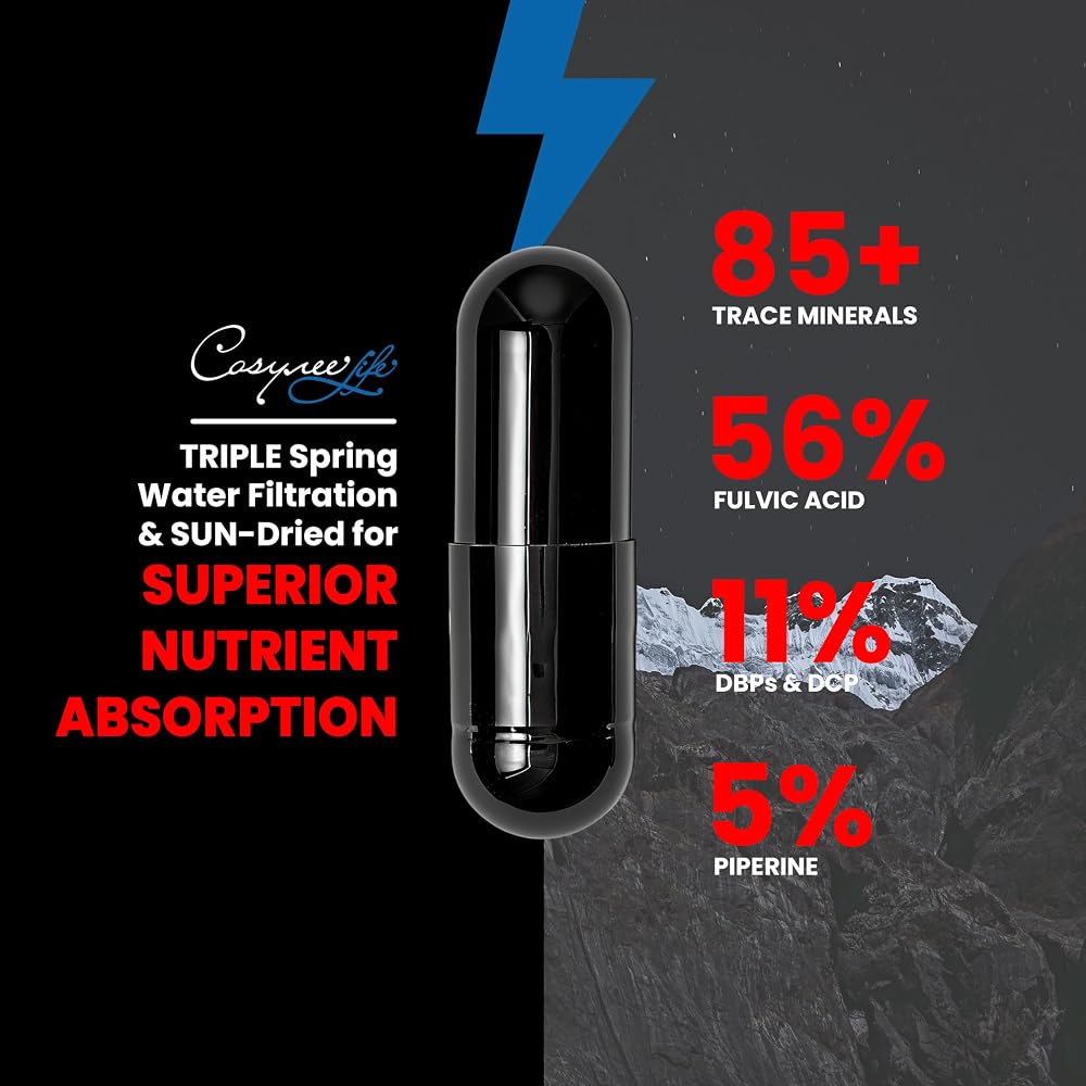 cosynee Himalayan Shilajit Supplement - 90 Capsules - image 2