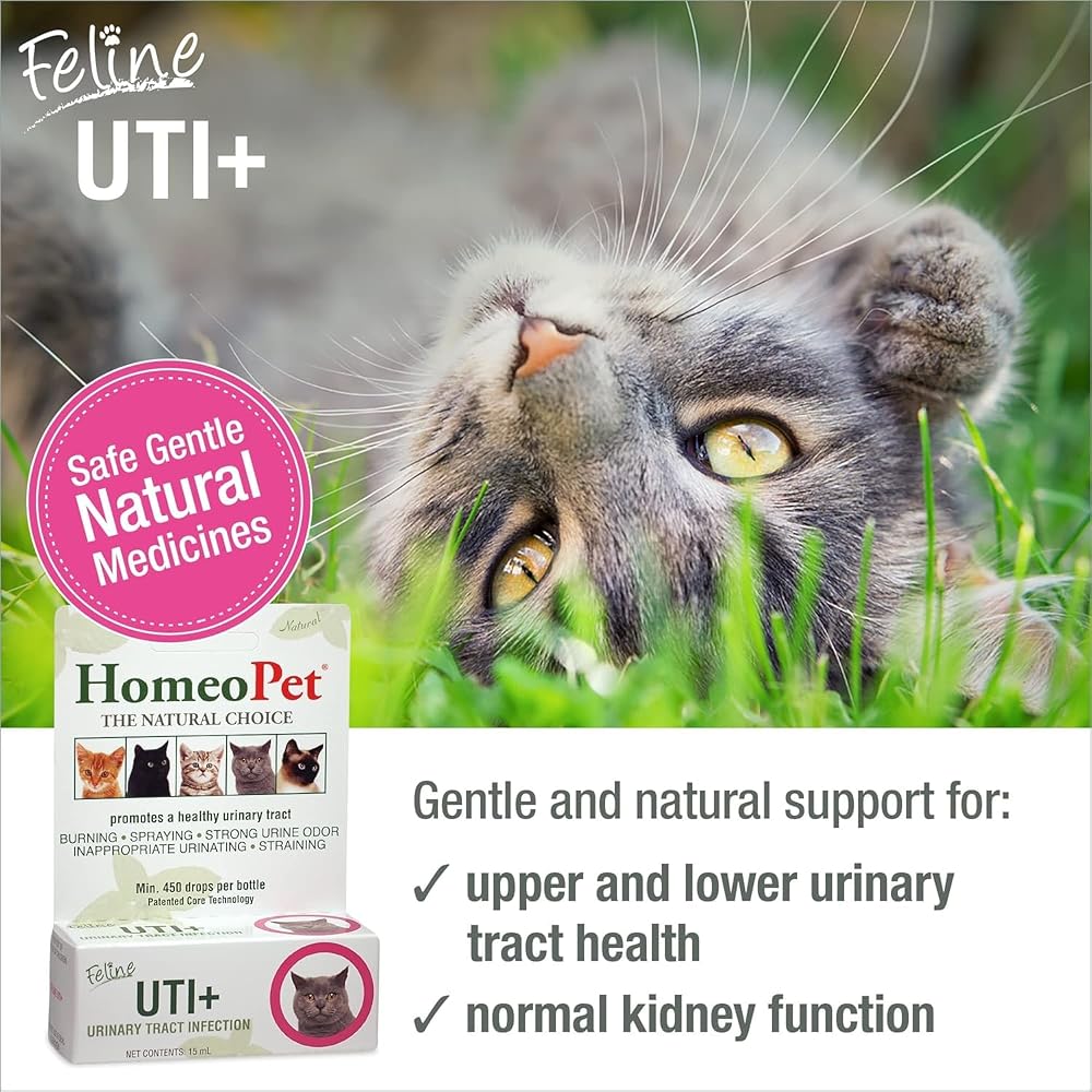HomeoPet Feline UTI+ Supplement for Cats - Pack of 2 - image 2