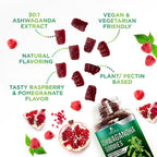 Nature's Nutrition Ashwagandha Gummies for Calm & Immune Support - 60 Gummies - image 5