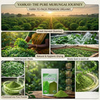 YAMKAY Moringa Leaf Powder