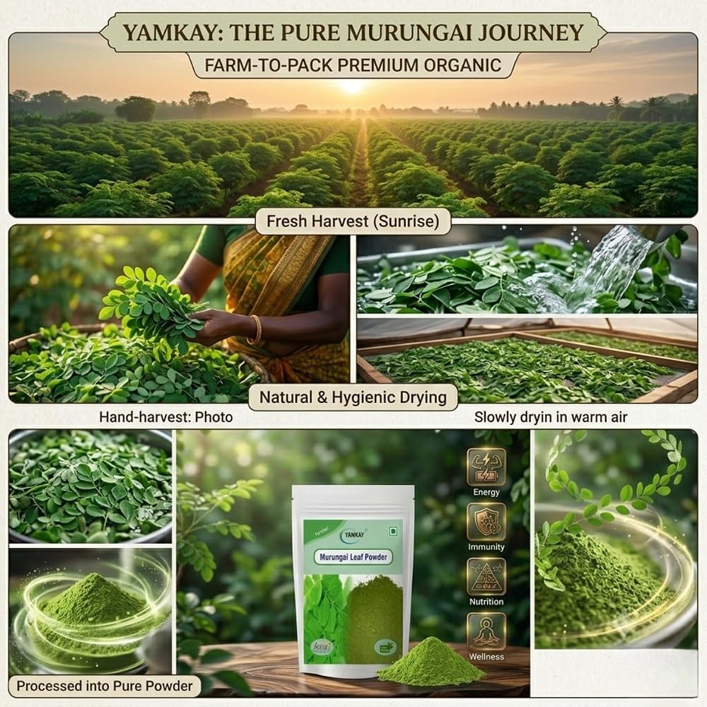 YAMKAY Moringa Leaf Powder