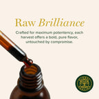 Global Healing Center Moringa Oleifera Liquid Extract Drops - 2 oz - image 3