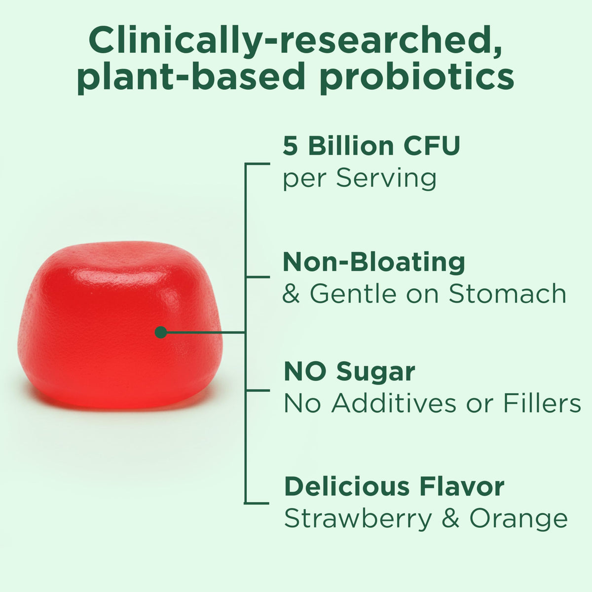 Yuve Natural Sugar Free Probiotic Gummies 5 Billion CFU - 60 Gummies - image 3