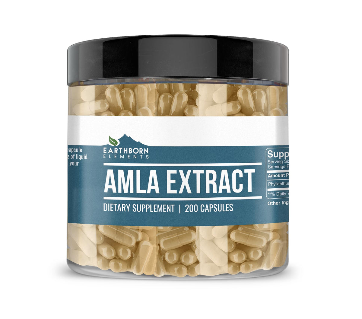 Earthborn Elements Amla Extract - 200 Capsules