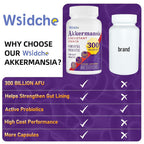 Wsidche AFU Akkermansia Muciniphila