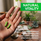 MEGNETA Moringa Capsules - 12000mg Moringa Powder
