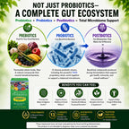 Dr. Ohhira's Probiotics Original Formula - 110 Vegetarian Capsules - image 3