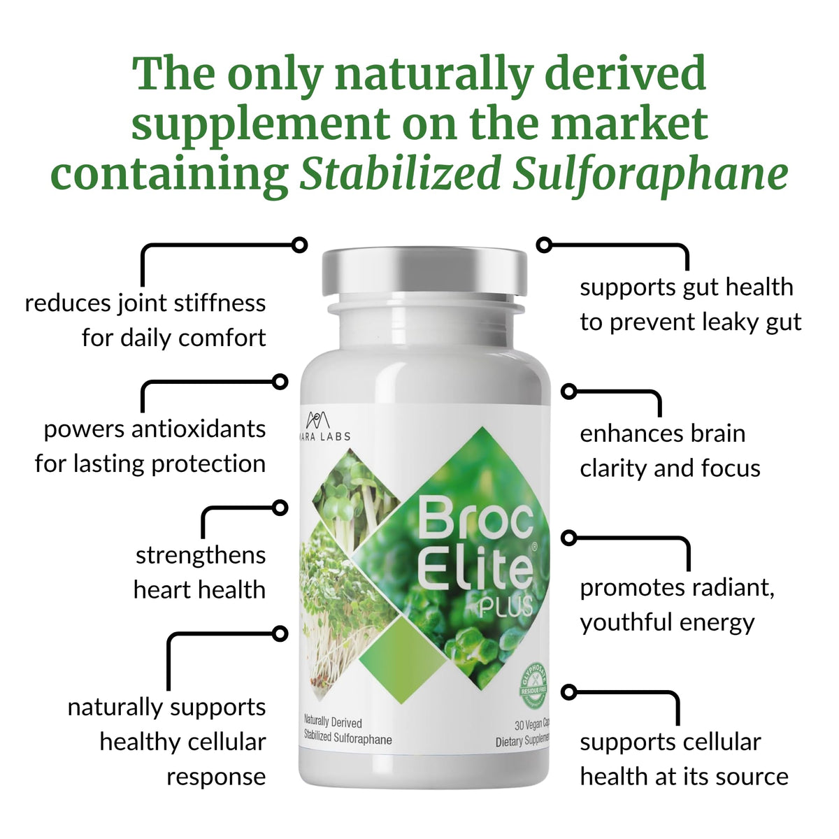 BrocElite Plus™ Broccoli Sulforaphane Extract Supplement for Immune