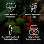 PENIKOSETE Advanced Vein Care Supplement