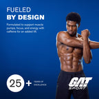 GAT SPORT PMP Pre-Workout Powder Fruit Punch - 8.6 oz - image 9