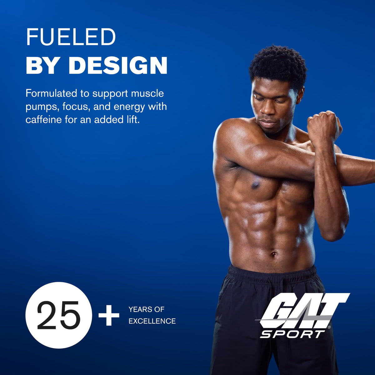 GAT SPORT PMP Pre-Workout Powder Fruit Punch - 8.6 oz - image 9