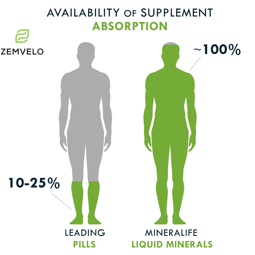 Mineralife Zemvelo Daily Multiple Liquid Supplement - 16 Fl Oz - image 4