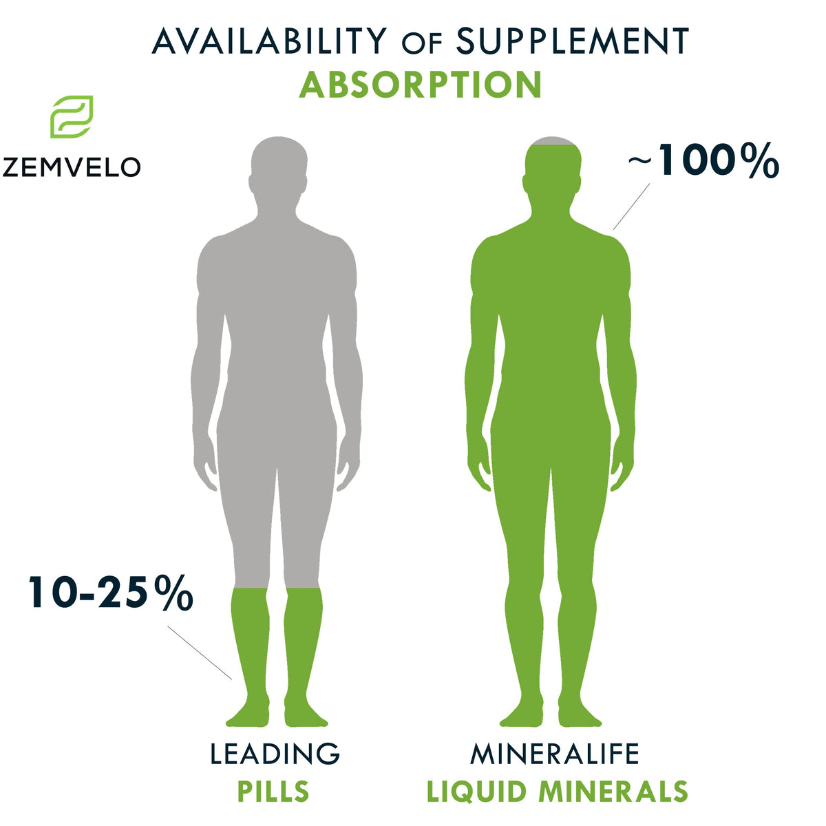 Mineralife Zemvelo Daily Multiple Liquid Supplement - 16 Fl Oz - image 4