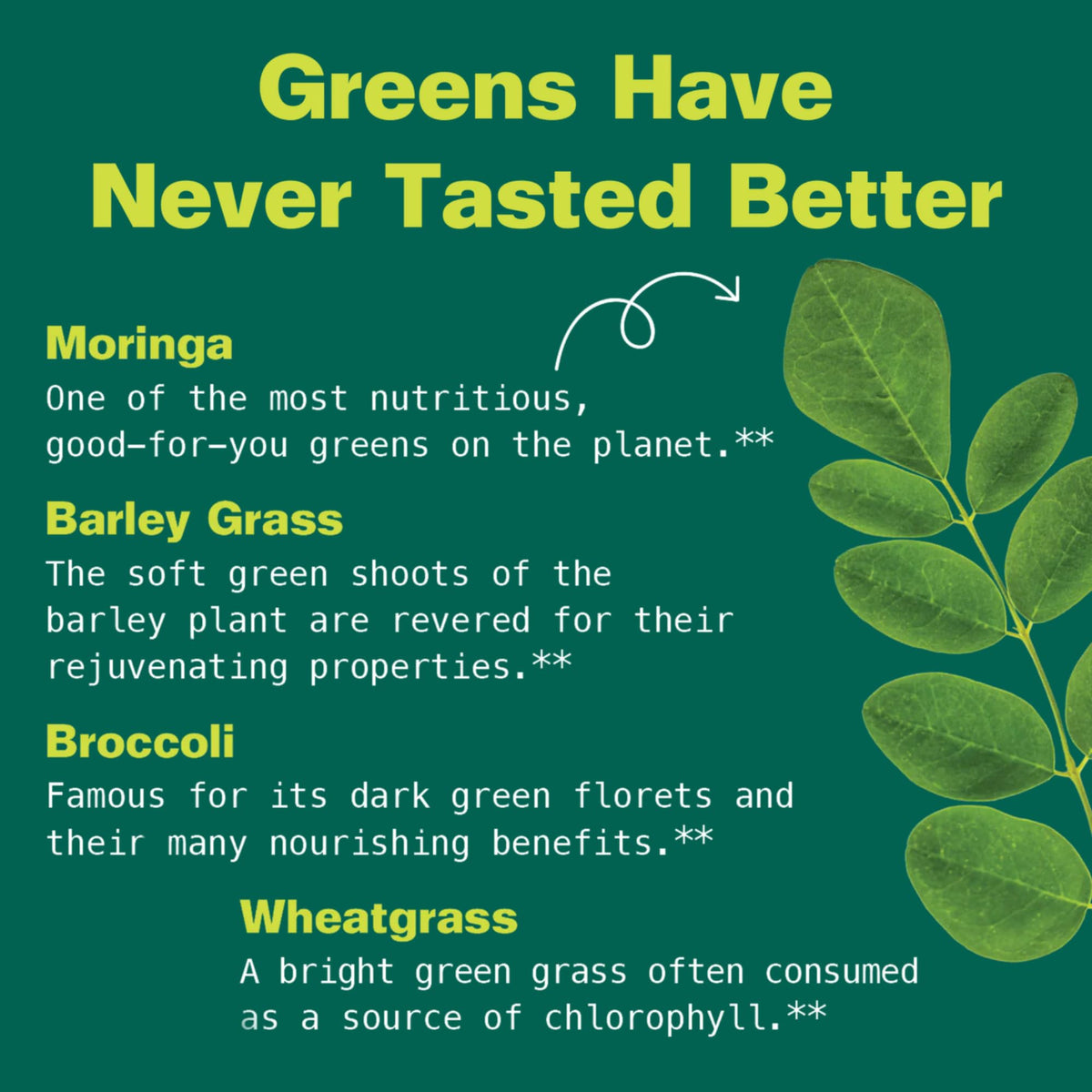 Kuli Kuli Moringa Gummies - Caffeine-Free Energy Supplements