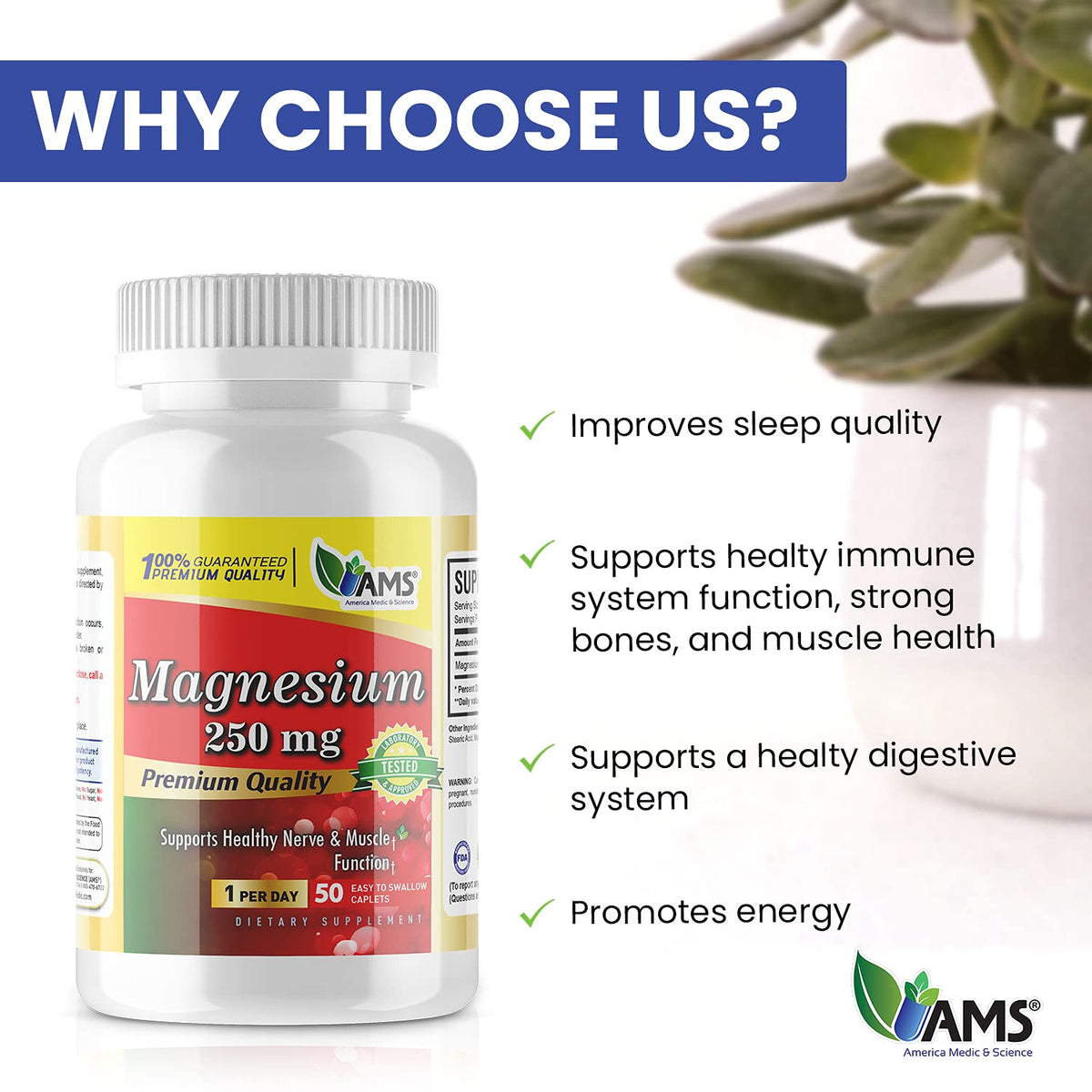 America Medic & Science Magnesium 250 mg - 100 Caplets - image 5