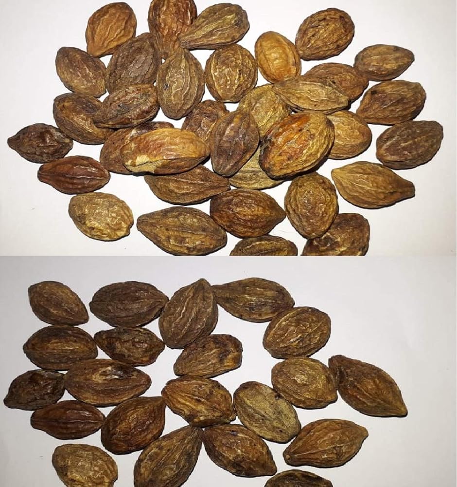 Succulent & Cactus Nursery Haritaki Whole Herbal Supplement - 50g