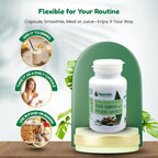 Lexmin Moringa Leaf & Turmeric Capsules - 60 Capsules - image 5