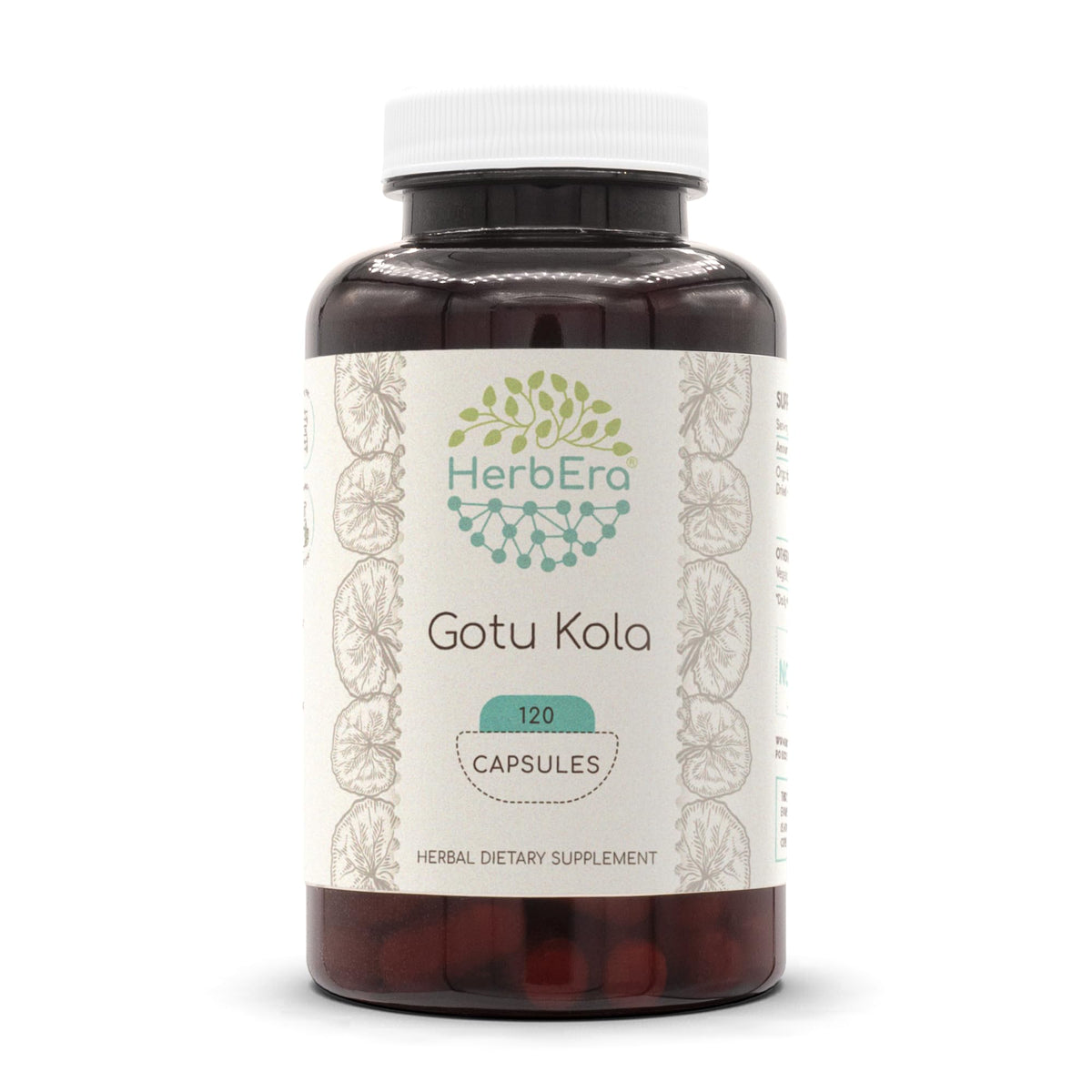 HerbEra Gotu Kola 500 mg - 120 Capsules