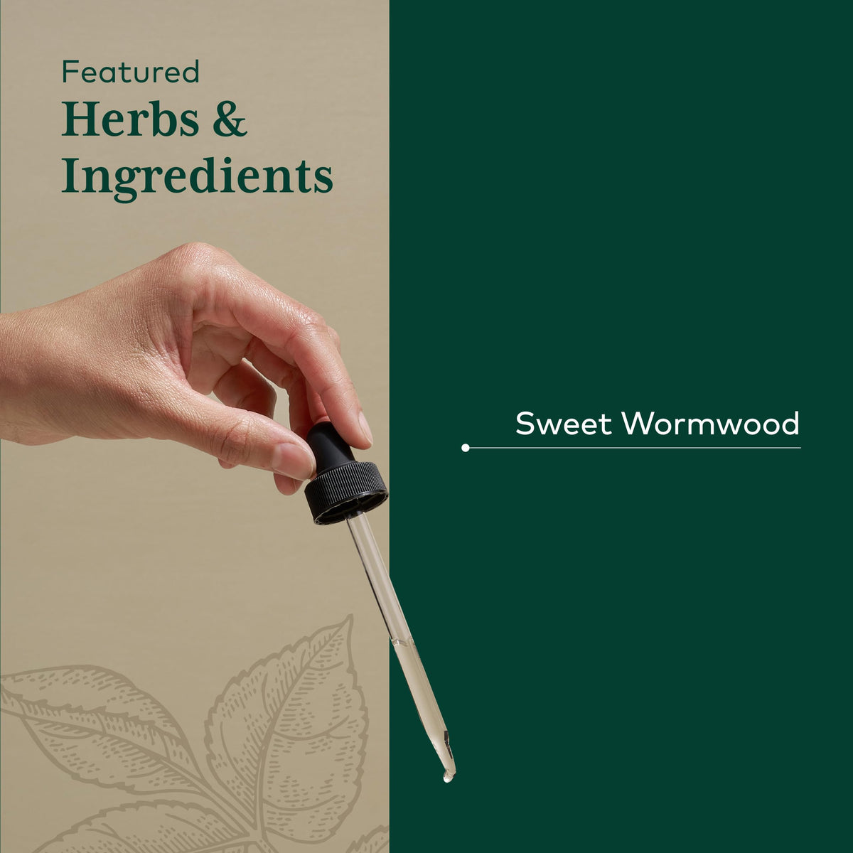 Gaia Herbs PRO Sweet Wormwood Digestive Support - 2 fl oz - image 4